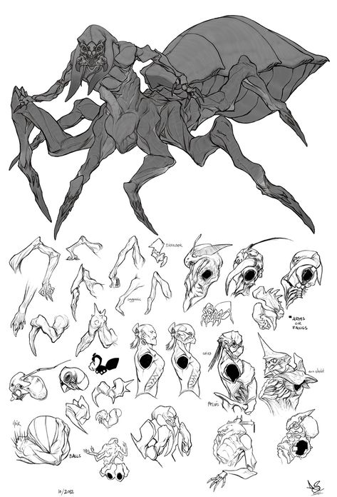 Old Spiderman, Monster Beast, Scifi Horror, Horror Design, Monster Creature, Beast Creature, Alien Character, Concept Ideas, Alien Concept Art