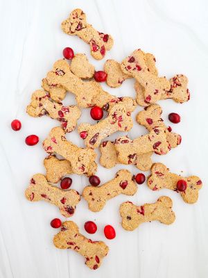 Cranberry dog treats recipe - Pook's Pantry Recipe Blog Dog Treat Charcuterie Board, Christmas Cookies For Dogs Recipe, Candy Cane Dog Treats, Dog Treats For Christmas, Holiday Dog Treat Recipes, Pumpkin Cranberry Dog Treats, Health Dog Treats, Dog Christmas Cookies Doggie Treats, Cranberry Dog Treats Recipes