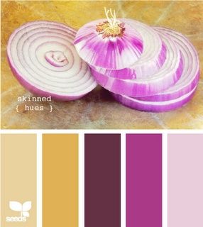 Liked on Pinterest: plum lavender gold - the onion pic is weird but the goldnerod with the plum is great for fall Onion Colour, Boy Room Paint, Seeds Color, Lavender Seeds, Baby Room Colors, Color Concept, Colour Pallets, Gold Color Scheme, Purple Design