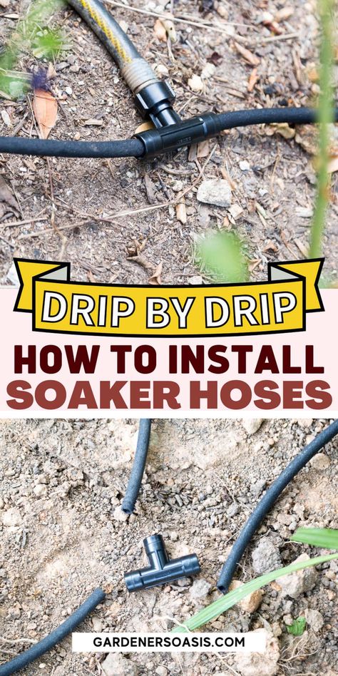 DIY Soaker Hose System (How To Install Soaker Hoses For A Greener Garden) | Gardens Diy Soaker Hose, Raised Bed Irrigation, Soaker Hose Irrigation, Garden Watering System, Soaker Hose, Garden Sprinklers, Privacy Landscaping, Shade Gardens, Vegetable Garden For Beginners