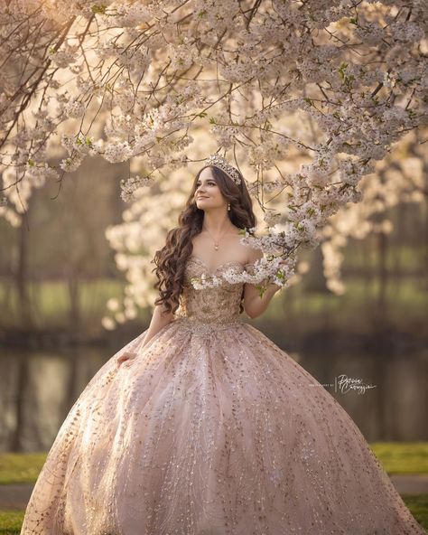 She is our angel of the morning 2024 😇♥️📸 🌸 Sweet16 angel 🇧🇷 ♥️ from Connecticut 🙏 Photos with #flyingdress in NJ 🙌😍📸 Dresses available in our studio 📣 #patriciacarrozziniphoto #iamblessed #godisgood Makeup and Hairstyle by @elsaramosmakeup_mg #njquinceañera #njsweet16 #nyquinceanera #nysweet16 #domincana #dominicanosny #quinceañera #sweet16 #quinceideas #quincedress #quincemakeup #flyingdresses #flowydress #njparksandforests #bestquinceañeraphotographer #quincerentaldress #njdresses #bes... Quinceanera Picture Ideas With Court, Quinceanera Poses Photo Shoots, Quinceañera Photos, Quince Poses, Quinceañera Photoshoot Ideas, Quince Photoshoot Ideas, Angel Of The Morning, Quince Pictures, Quinceanera Pictures