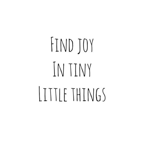 Find joy. Quotes. Seek Joy Quote, Joy Astethic, Find Joy Quotes, Find Joy In The Little Things, Quotes About Joy, Innocent Archetype, Jellycat Wishlist, Story Ideas Romance, Store Quote