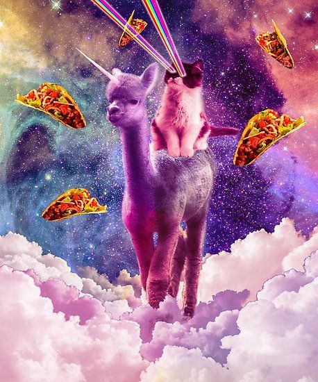 Buy 'Cosmic Cat Riding Alpaca Unicorn' by SkylerJHill as a T-Shirt, Classic T-Shirt, Tri-blend T-Shirt, Lightweight Hoodie, Women's Fitted Scoop T-Shirt, Women's Fitted V-Neck T-Shirt, Women's Relaxed Fit T-Shirt, Graphic T-Shirt, Women's ... Cosmic Cat, Cat Riding, Unicorn Poster, Galaxy Cat, Fabric Poster, Unicorn Stickers, Unicorn Cat, Galaxy Art, Space Cat