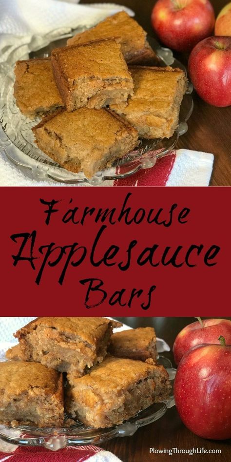 Apple Sauce Bars, Applesauce Bars, Recipe Using Applesauce, Easy Applesauce, Applesauce Cookies, Snack For Kids, Quick Healthy Snacks, Healthy Protein Snacks, Apple Sauce Recipes