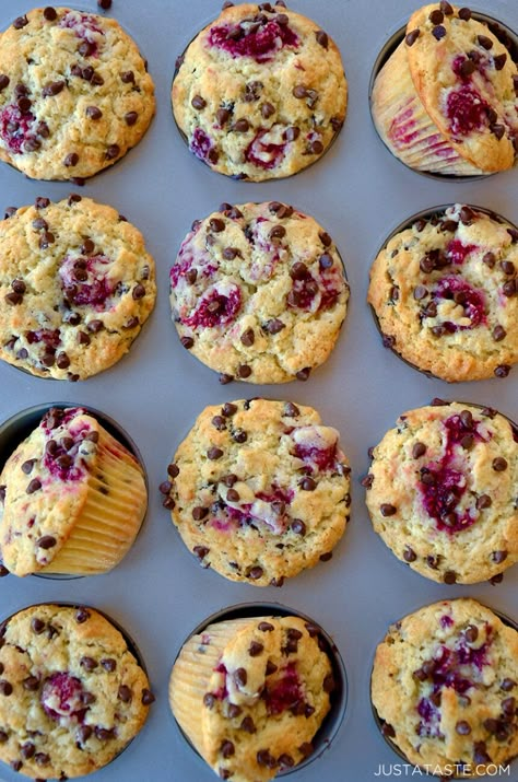 Raspberry Chocolate Chip Muffins, Choc Muffins, Raspberry Muffin Recipes, Chocolate Chip Muffins Recipe, Sour Cream Muffins, Choc Chip Muffins, Raspberry Chocolate Chip, Fruit Muffins, Fruit Chocolate