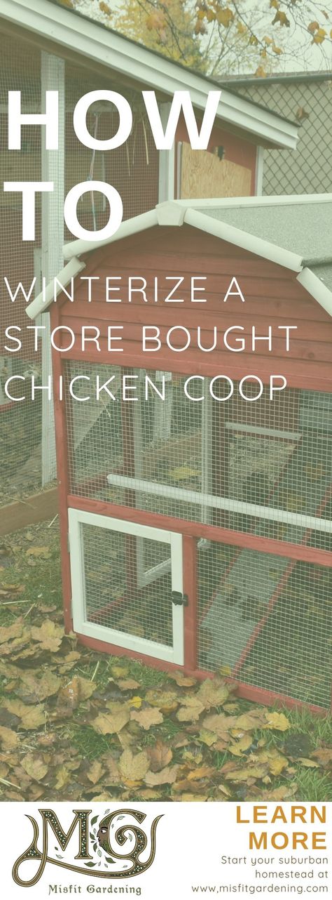 Chicken Coop For Winter, Chicken Coop Winter, Small Chicken Coops, Chickens In The Winter, Chicken Shed, Meat Birds, Chicken Care, Shade Grass, Chicken Tractors