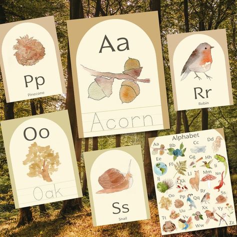 Nature Alphabet, Nature Alphabet Letters, Waldorf Classroom Abc Woodland, Acorn Writing, Nature Abc Cards, Botanical Alphabet Letters, Preschool Prep, Nature Education, Abc Printables