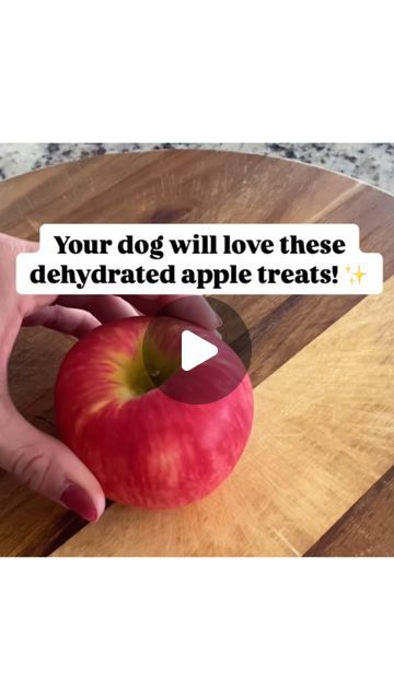 bodhi + kora on Instagram: "Her little crunches at the end 🥹

Share this treat idea with another pet parent! ✨ 

You will need:
• 1 apple (NO CORE OR SEEDS) 
• parchment paper
• baking sheet

Set the oven to 200° Fahrenheit and bake for 2 hours. Flip them halfway to make the dehydrated treat extra crunchy.

Limit apple treats (1-3 slices per day).

Please consult a veterinarian if you have questions or concerns about feeding your dog this treat.

Follow @bodhi.and.kora for more dog-friendly recipes, tips and tricks!

.
.
.
.

#dogtreats #dogtreat #doglife #dogtreatrecipe #dogtreatsfordays #homemadedogtreats #dogmom
#dogtips #doghealth #doglover #asmrdog #doglover #dognutrition" Homemade Apple Dog Treats, Dog Apple Treats, Dog Treats Business Ideas, Dehydrating Dog Treats, Dehydrated Food For Dogs, Dog Treats That Dont Need Refrigeration, Dehydrated Dog Treats Recipes, Baked Dog Treats Recipes, Fruit Dog Treats