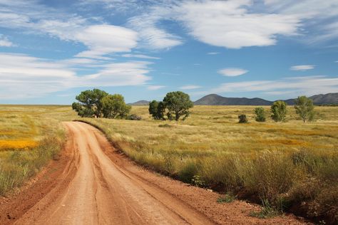 #countryside #dirt road #grass #landscape #outdoors #road #rural #scenic #soil #trees Grasses Landscaping, Mountain Photography, Backyard Inspo, Dirt Road, Rural Life, Rural Area, Landscape Pictures, Landscape Photos, Canon Eos