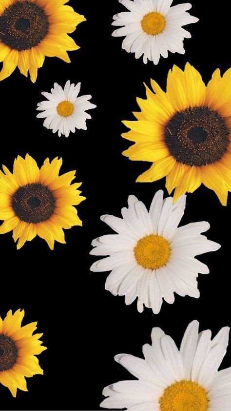 Sunflower And Daisy Wallpaper, Sunflower And Daisy, Spring Flowers Wallpaper, Beautiful Sunflowers, Sunflowers And Daisies, Square Stickers, Daisy Wallpaper, Floral Wallpaper Iphone, Favourite Flowers