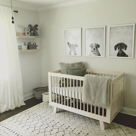 Baby Boy Dog Nursery, Chase Everett, Puppy Nursery Ideas, Dog Nursery Theme, Hudson Crib, Babyletto Hudson Crib, Puppy Dog Nursery, Puppy Nursery Theme, Puppy Nursery Decor