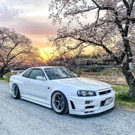 R34 . . . #r34 #gtr #nissan #nissanskyline #jdm #theengineshow Godzilla Skyline, Nisan Gtr, Nissan R33, Gtr Nissan, Car Pic, Nissan Gtr R34, Skyline Gtr R34, R34 Gtr, Gtr R34