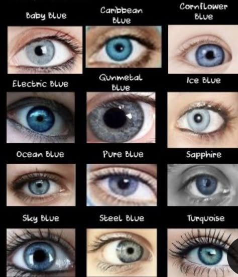 Types Of Blue Eyes, Unique Eye Color, Pretty Eyes Color, Rare Eye Colors, Eye Color Chart, Rare Eyes, Eye Colours, Blue Eye Color, Beautiful Eyes Color