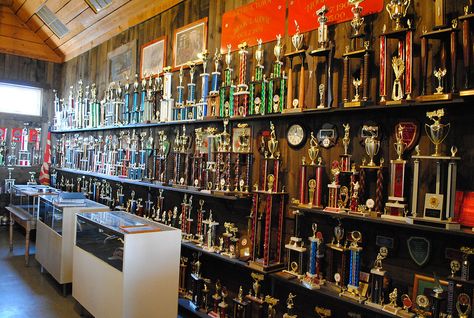 How to Display Trophies Ideas For Trophy Display, Office Trophy Display Ideas, Trophy Display Aesthetic, Marvel Dance, Dance Trophy Display Ideas, Award Display Wall Trophy Shelf, Displaying Medals, Dance Trophies, Pageant Sashes