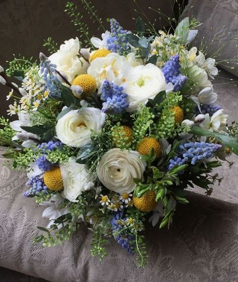 #craspedia hashtag on Instagram • Photos and Videos Craspedia Wedding Bouquet, Farm Market Ideas, Daffodil Bouquet, Scabiosa Butterfly Blue, Farmers Market Flowers, Bridal Bouquet Spring, Wedding Color Pallet, White Ranunculus, Summer Wedding Bouquets