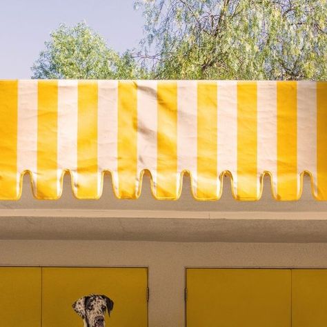 Gray Malin on Instagram: "Lemonade stand sips 🍋 Bring home your dream animal print for 25% off at graymalin.com Pictured: The Lemonade Stand, Parker Palm Springs   #graymalin #parkerpalmsprings #palmsprings #california #lemonade #goldenretriever #cavelierkingcharles #dachshund #shibainu #greatdane #fineart" Ice Cream Stand, Parker Palm Springs, Gray Malin, Palm Spring, Palm Springs California, Lemonade Stand, Great Dane, Shiba Inu, Palm Springs