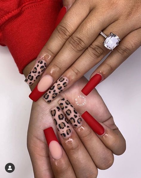 Nails Leopard, Leopard Nail Designs, Nails For Fall, Zebra Print Nails, Tiger Nails, Cheetah Nail Designs, Cheetah Print Nails, Cheetah Nails, Leopard Print Nails