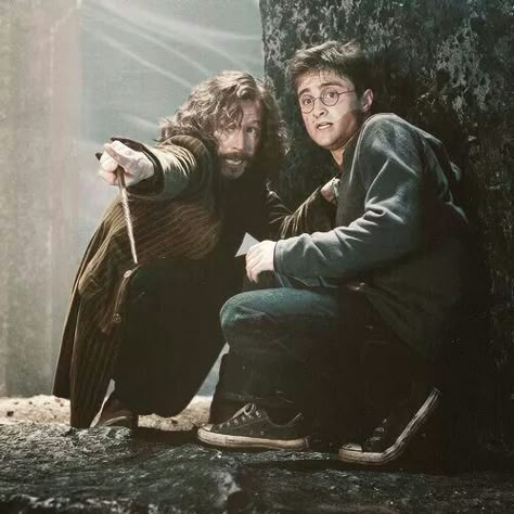 Harry Potter Sirius, Images Harry Potter, Harry Potter Tumblr, Hogwarts Is My Home, Harry James Potter, Harry Potter Pictures, Gary Oldman, Harry Potter Film, Albus Dumbledore