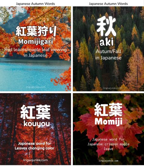 Japanese Expressions, Peony Japanese, Autumn Words, Words To Know, Festival Names, Japanese Autumn, Leaves Changing Color, Busy Activities, Nature Words