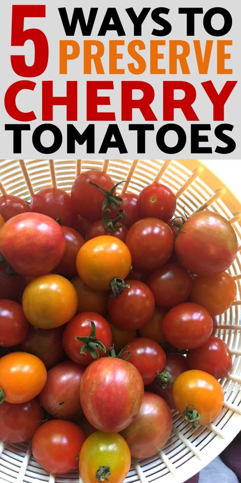 Freezing Garden Tomatoes, Freezing Grape Tomatoes, How To Freeze Grape Tomatoes, Canning Ideas For Cherry Tomatoes, Using Up Cherry Tomatoes, What To Do With Cherry Tomatoes From The Garden, Freeze Cherry Tomatoes How To, Grape Tomatoes Preserving, Processing Cherry Tomatoes