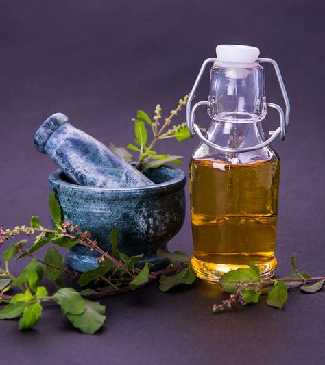 12 Amazing Benefits Of Basil (Tulsi) Oil For Skin And Hair Benefits Of Basil, The Ayurveda Experience, Treat Burns, Tulsi Plant, High Blood Pressure Remedies, Basil Essential Oil, Basil Oil, Oil For Skin, Ayurvedic Products