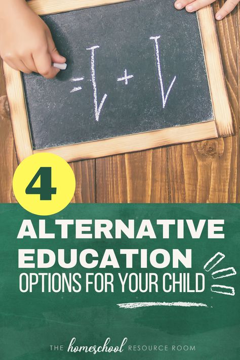 What is Alternative Education? 4 Options for Your Child Secular Homeschool Curriculum, Benefits Of Homeschooling, Alternative Education, Philosophy Of Education, Private Schools, Military School, School Fees, Resource Room, Developmental Disabilities