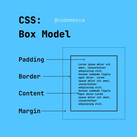 Coding Html Css, Css Box Model, Html Project Ideas, Css Tips, Css Basics, Html Css Code, Css Cheat Sheet, Html Elements, Learn Html And Css