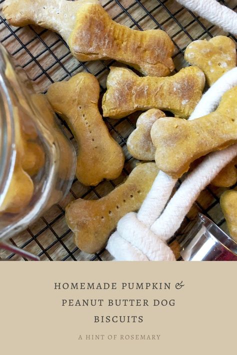 homemade pumpkin & peanut butter dog biscuits - a hint of rosemary Homemade Dog Treats Grain Free, Dog Treats Homemade Pumpkin, Pumpkin Dog Biscuits, Peanut Butter Dog Biscuits, Pumpkin Peanut Butter, Dog Treats Homemade Easy, Dog Biscuit Recipes, Dog Biscuits Homemade, Healthy Dog Treats Homemade