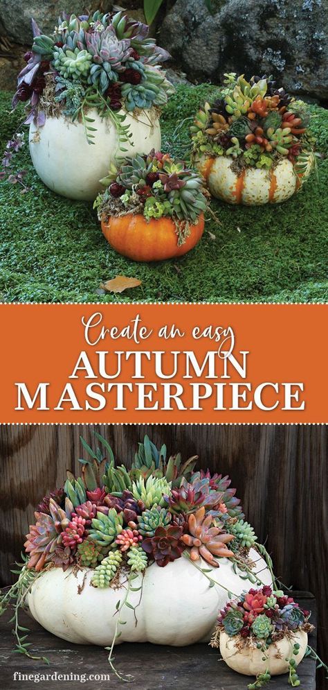 White Pumpkin Succulent Centerpiece, Succulents In A Pumpkin, Pumpkin With Succulents Centerpiece, How To Make Pumpkin Succulent Centerpiece, Thanksgiving Succulent Centerpiece, Succulents And Pumpkins Centerpiece, Fall Succulent Centerpiece, Succulent Pumpkins Centerpiece, Succulents On Pumpkins