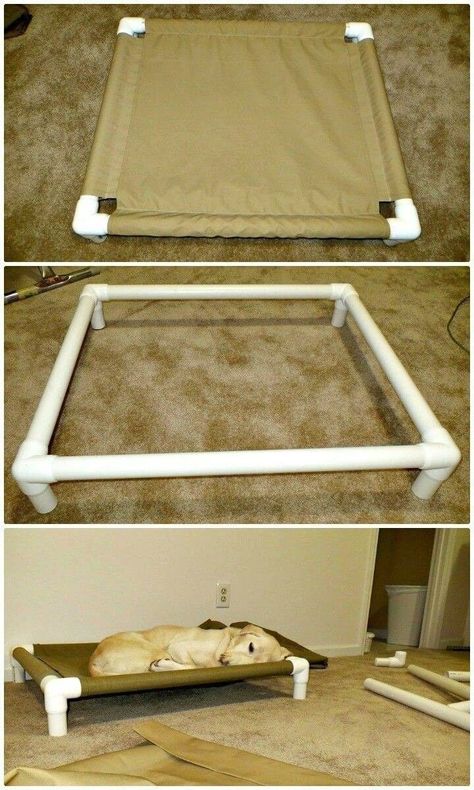 Pipe Lamps, Chat Diy, Dogs Diy Projects, Dog Cots, Pvc Pipe Projects, Dog Diy, Pvc Projects, Cats Diy Projects, Dog House Diy