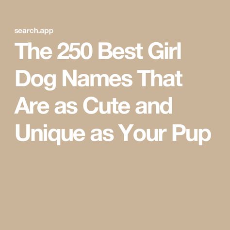 The 250 Best Girl Dog Names That Are as Cute and Unique as Your Pup Top Girl Dog Names, Best Girl Dog Names, Girl Pet Names, Dog Names Girl, Girl Dog Names Unique, Unique Dog Names, Dog Names Unique, Girl Dog Names, Names Girl