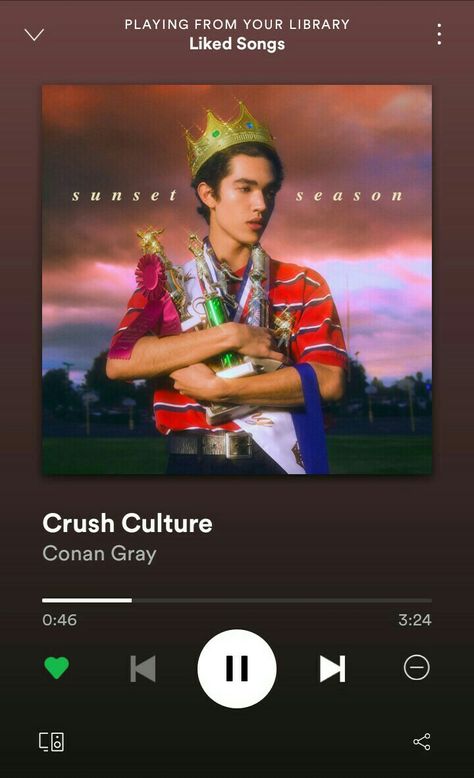 Crush Culture Conan Gray, Generation Why, Sunset Season, Crush Culture, Freshman Year, Conan Gray, Greek Gods, Look Alike, Pretty Men