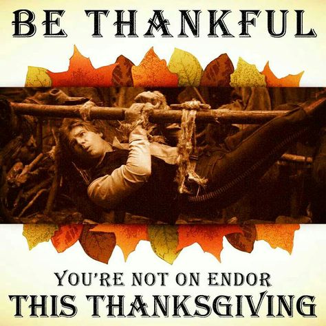 Tickle My Fancy Thursday ---> It's just not a Happy Thanksgiving without my pals from a galaxy far, far away (November 28) Thanksgiving Meme, Holiday Meme, Thanksgiving Happy, Epic Pictures, Movie Memes, Star Wars Artwork, Star Wars Movie, Be Thankful, Funny Thanksgiving