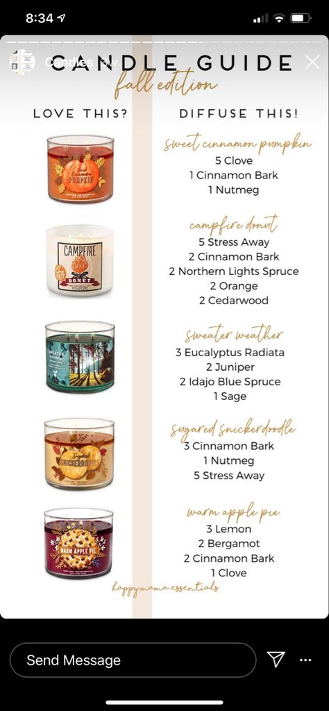 Copycat Candle Scent Recipes, Diy Fall Scented Candles, Candle Guide, Essential Oil Candle Blends, Essential Oil Candle Recipes, Candle Scents Recipes, Candle Blends, Holistic Home, Lilin Aroma