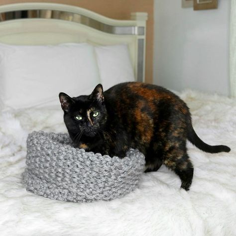 Easy Cat Bed Free Knitting Pattern Chunky Knit Cat Bed, Knit Cat Bed, Cat Bed Pattern, Cat Pod, Knit Cat, Cat Patterns, Cozy Cat, Knitted Cat, Cat Cave