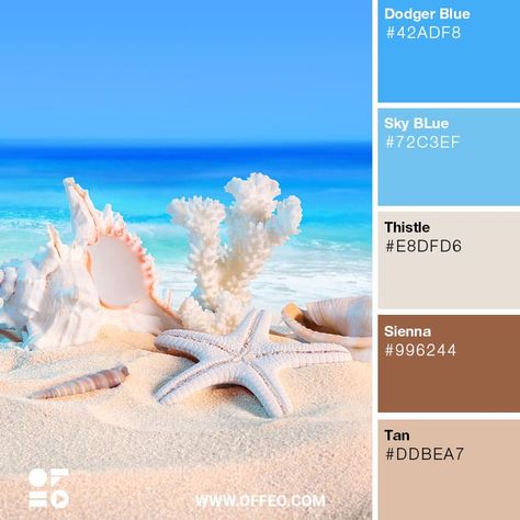 Color Palette Shades, Post Backgrounds, Blue Pallets, Color Palets, Skoolie Conversion, Beach Color Palettes, Colour Palate, Blue Basket, Dark Sea Green