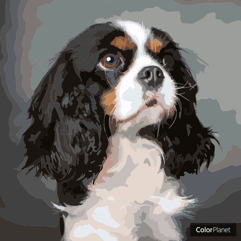 Black Dachshund, Spaniel Art, Cavalier King Charles Dog, King Charles Dog, Oil Painting Inspiration, King Charles Cavalier Spaniel Puppy, Pets Drawing, Color By Number, Clip Art Vintage