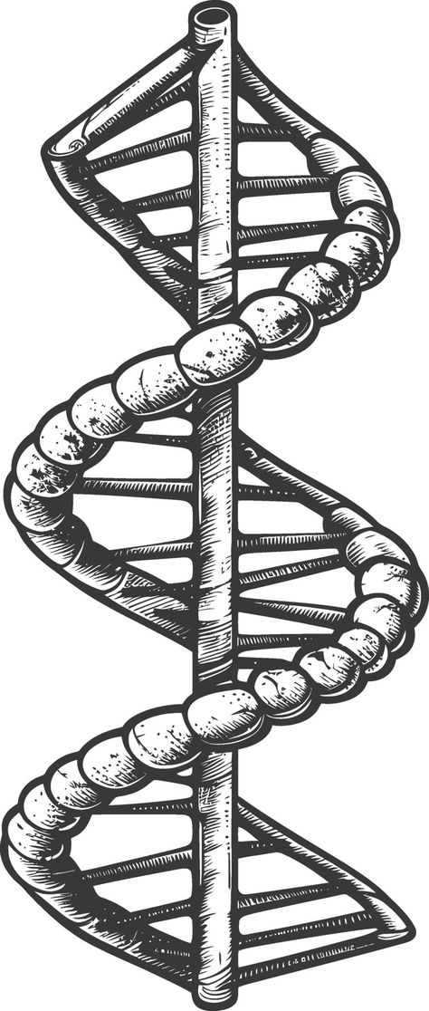 Download the gene DNA mutation symbol with engraving style black color only 46012149 royalty-free Vector from Vecteezy for your project and explore over a million other vectors, icons and clipart graphics! Mutation Art, Dna Symbol, Dna Vector, Dna Drawing, Dna Artwork, Gene Mutation, Dna Art, Forensic Science, Architecture Drawing Art