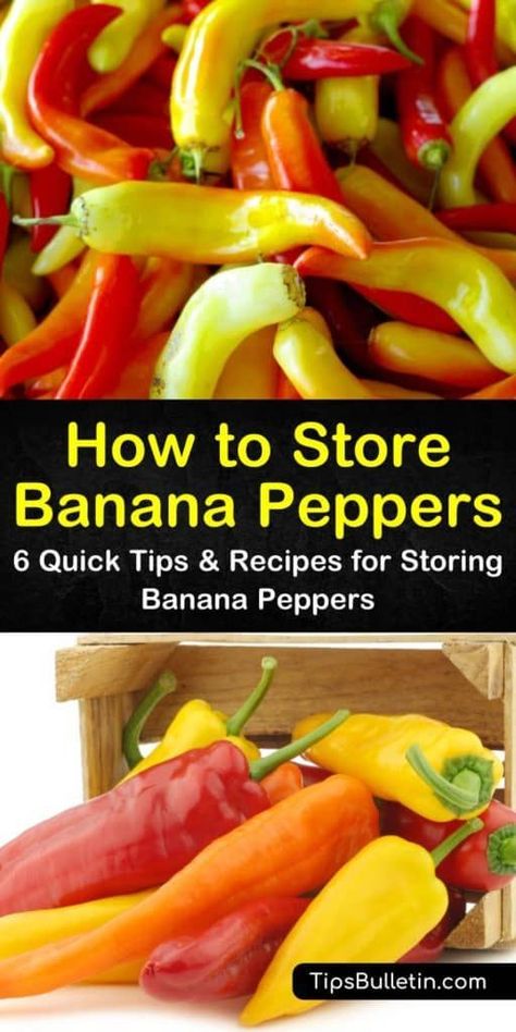 You can store banana peppers after growing them by canning pickled peppers and freezing them. We’ll show you what to do with those peppers to ensure they provide you with a fresh flavor and nutritional health benefits. #storingbananapeppers #preservebananapeppers #howtostorepeppers Banana Peppers In Oil Canning, What To Do With Peppers Ideas, What Can You Do With Banana Peppers, Can You Freeze Banana Peppers, What To Do With Sweet Banana Peppers, Subway Banana Peppers Canning Recipes, Storing Banana Peppers, How To Freeze Hot Peppers, How To Freeze Banana Peppers