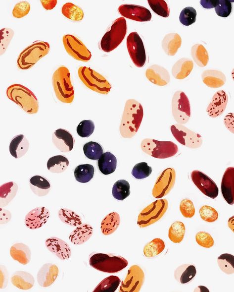 An illustration of a variety heirloom beans. Bean Painting, Bean Aesthetic, Bean Illustration, Beans Illustration, Bean Drawing, Heirloom Beans, Black Eyed Beans, Winter Foods, Bean Varieties