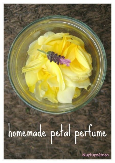 Making Perfume With Flowers, How To Make Perfume Out Of Flowers, How To Make Perfume From Flowers, How To Make Homemade Perfume, Garden Sensory, Garden Crafts For Kids, Perfume Versace, Homemade Perfume, Scent Garden