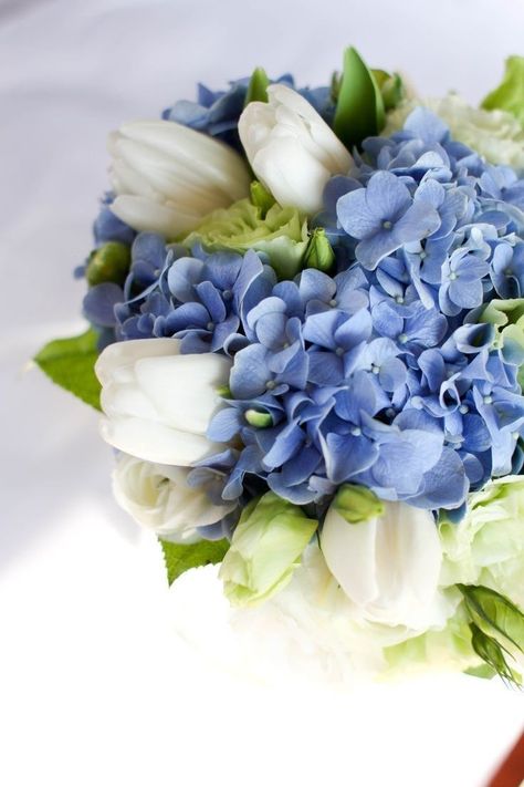 Wedding Flowers Blue Hydrangea, White Tulip Bouquet, Wedding Flowers Tulips, Blue Wedding Centerpieces, Hydrangea Bouquet Wedding, Tulip Wedding, Hydrangea Bouquet, Blue Wedding Flowers, Blue Tulips