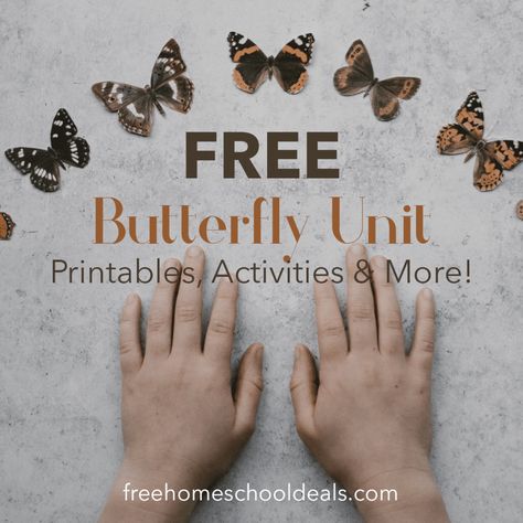 Butterfly Unit Kindergarten, Butterfly Activities For Preschool, Butterfly Science Activities, Bug And Insect Activities, Kindergarten Butterfly, Butterfly Unit Study, Insect Unit Study, Homeschool Science Lessons, Butterfly Life Cycle Activity