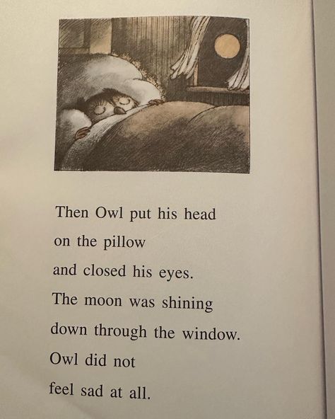 Childrens book // Childrens book illustration // Childrens book for adults // melancholy // moon lovers Owl At Home Arnold Lobel, Owl At Home, Arnold Lobel, Moon Lovers, Through The Window, My Dream Life, Book Illustration, His Eyes, The Beatles