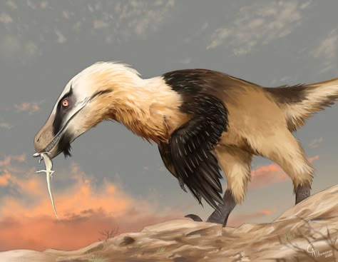 Dinosaur Reference, Bearded Vulture, Feathered Dinosaurs, Raptor Dinosaur, Dino Art, Dinosaur Sketch, Prehistoric Wildlife, Dinosaur Images, Ancient Animals