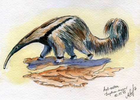 https://flic.kr/p/C2VaXG | Ant-eater | At Darwin Museum, Moscow Ant Eater Drawing, Anteater Art, Ant Eater, Magical Animals, Alphabet Animals, Baby Monkey, Types Of Art, Animal Illustration, Ants