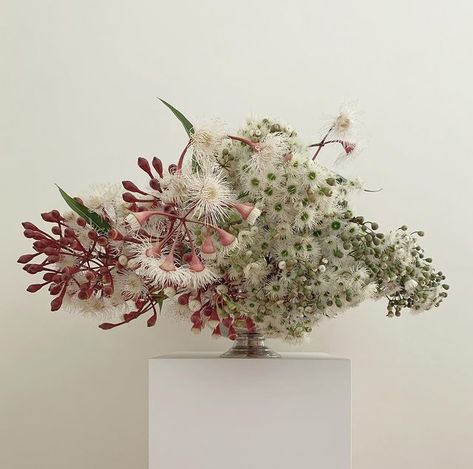 Unusual Flower Arrangements, Lisa Cooper, Floral Art Arrangements, Table Arrangements Wedding, Flower Words, Ikebana Flower Arrangement, Bright Florals, Unusual Flowers, Flower Therapy