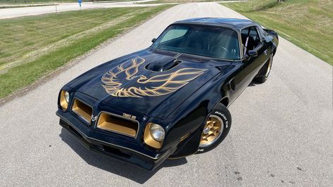 Famous Movie Cars, Bandit Trans Am, Famous Vehicles, 1979 Pontiac Trans Am, Collector Cars For Sale, Gold Wheels, Pontiac Trans Am, Gold Car, Movie Cars