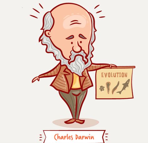 7 things you may not know about Charles Darwin - USA Daily Dose Darwin Evolution, Darwin Theory, Hms Beagle, Evolutionary Biology, Theory Of Evolution, Church Of England, Charles Darwin, Nikola Tesla, Life Science