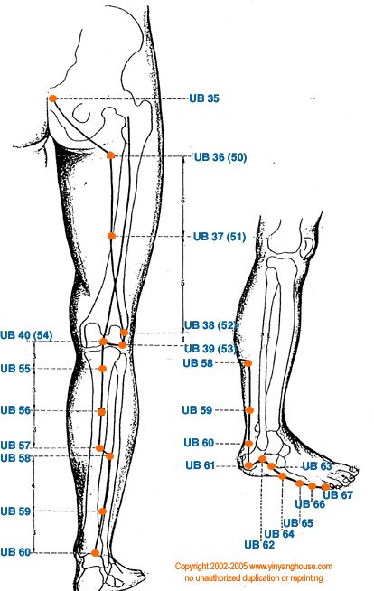 (UB) Urinary Bladder Meridian - Graphic | Chinese Medicine Theory - Yin Yang House Acupressure Points Chart, Kidney Meridian, Punkty Spustowe, Traditional Chinese Medicine Acupuncture, Meridian Acupuncture, Acupuncture Points Chart, Tcm Traditional Chinese Medicine, Shiatsu Massage Acupressure, Acupuncture Benefits